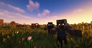 Tissou's zombie pack x Fresh animation