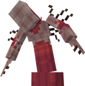 host.png