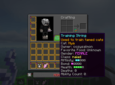 Training String Tooltip