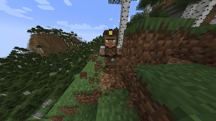 New villager Type