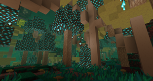 Nether Biome