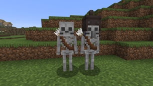 Normal and Villager Skeletons