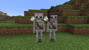 Fresh Normal and Villager Skeletons