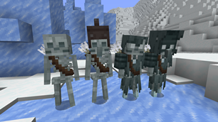 Snowy Skeletons and Strays