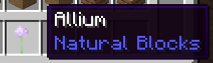 Allium