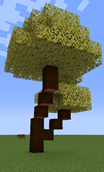 brazilwood tree.png