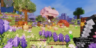 ninacraft3.jpeg