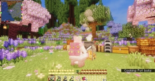 ninacraft4.jpeg