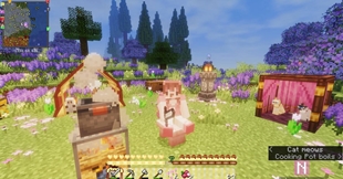 ninacraft5.jpeg