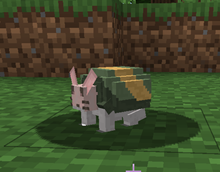 hermit rat.png