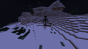 integrity IN the SNOW