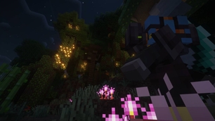 Mysterious Forest