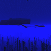 Cachalot whale attacking a giant squid