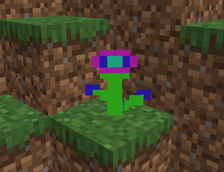 plant