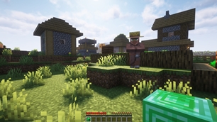 Simple Villager Follow