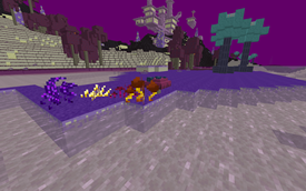 New plants and new biome