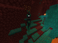 Warped enderman