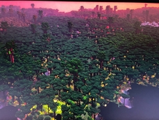 TwilightForest