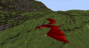 SPOILER2_image.png