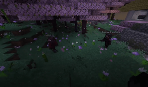 1v1 Duel