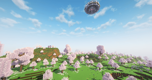 Field