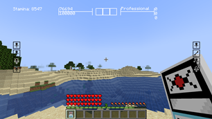 HUD & Hunter License!