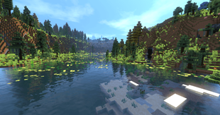 Northern Swamp below the hills