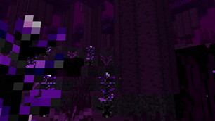 2025-06-19_14.49.01.png