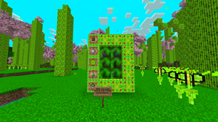 Dorulium Dimension and Dorulium World Biome