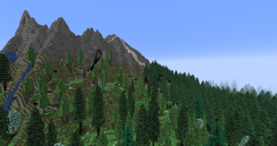 Poplar Grove, Poplar Slopes and Fir Forest