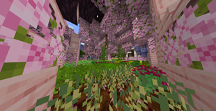 Community Made Garden - Season 5