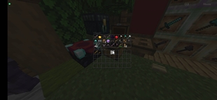 Screenshot_2025-06-29-14-51-24-249_com.movtery.zalithlauncher.jpg
