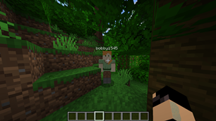 Who's this strange player that joined my world?