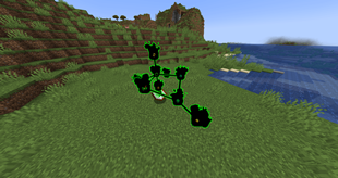 Runic Codex