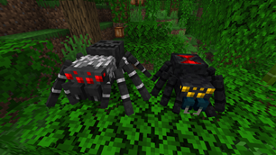 Jungle Tarantula and Black Widow