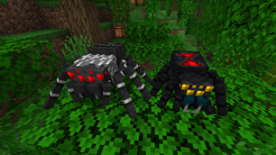 Jungle Tarantula and Black Widow
