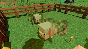 Growing Pigs.jpg