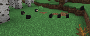 Some_wild_creatures_lets_say_hello.png