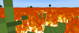 Wildfire