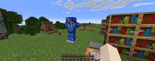 Armour Set
