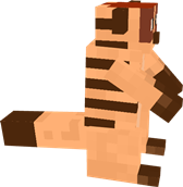 timon (1).png