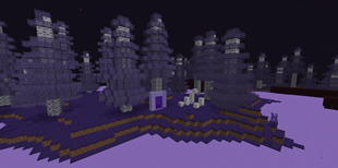 amethyst dimention