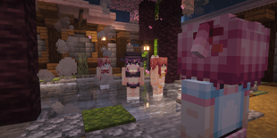 Sayori, Yuri, Monika, & Natsuki