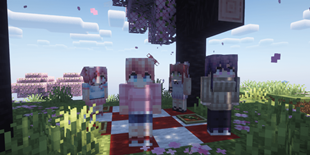 Doki Doki Literature Club Picnic