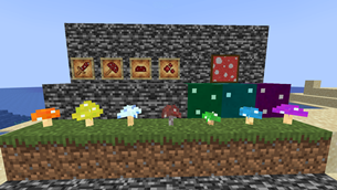 Blocks & Items