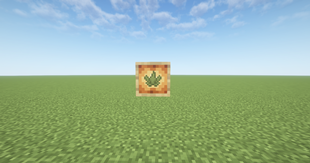 Cannabis