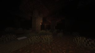 The woods...