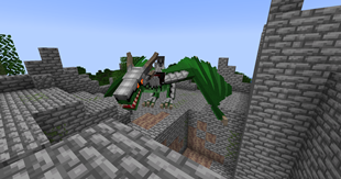 A young dragon ready for war!