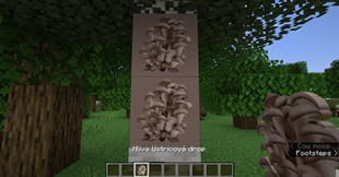 2025-07-03_11.13.05.png