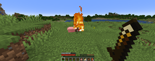 Sword Killing